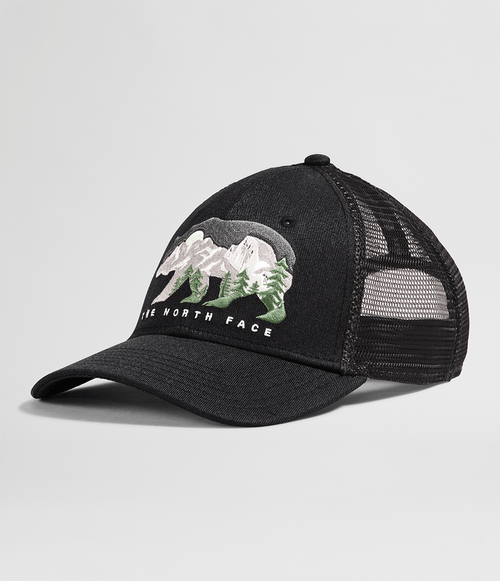 Boné The North Face Embroidered Mudder Trucker Preto