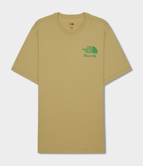 Camiseta The North Face Masculina Crown Shyness Tee Khaki Stone