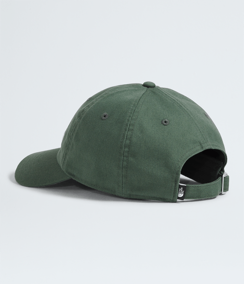 Boné The North Face Roomy Norm Duck Green
