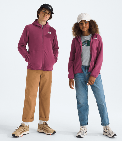 Fleece The North Face Unissex Teen Glacier Full Zip Hoodie Cyber Berry