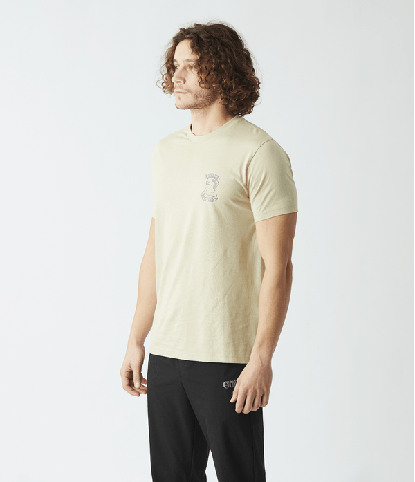 camiseta-picture-masculina-terra-wood-ash-g