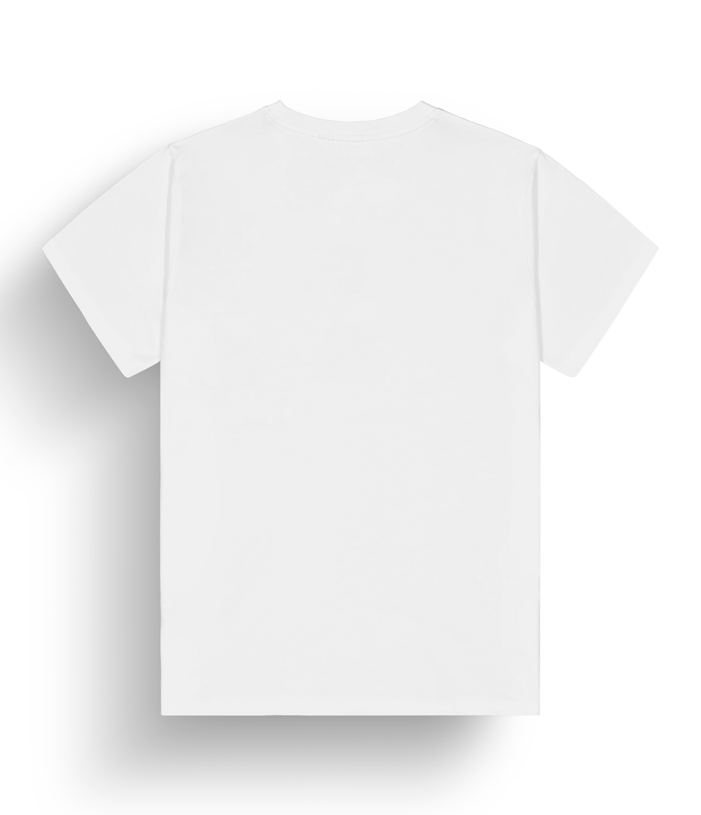 camiseta-picture-masculina-rockyrides-white-p