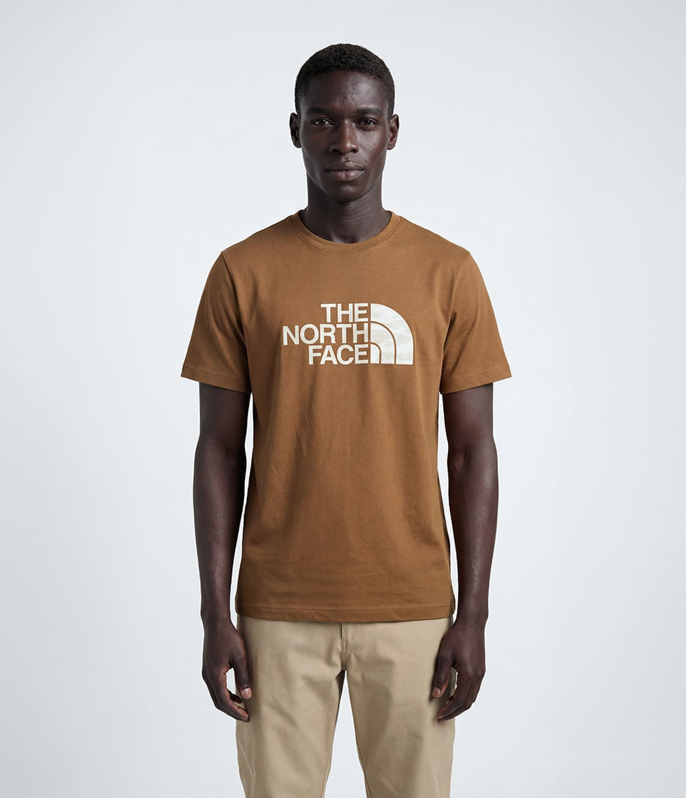 camiseta-the-north-face-unissex-evolution-edge-of-light-half-dome-burnt-umber-p