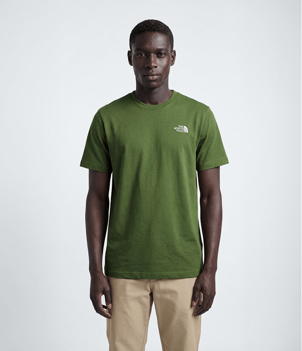 camiseta-the-north-face-unissex-evolution-tee-woodland-green-m