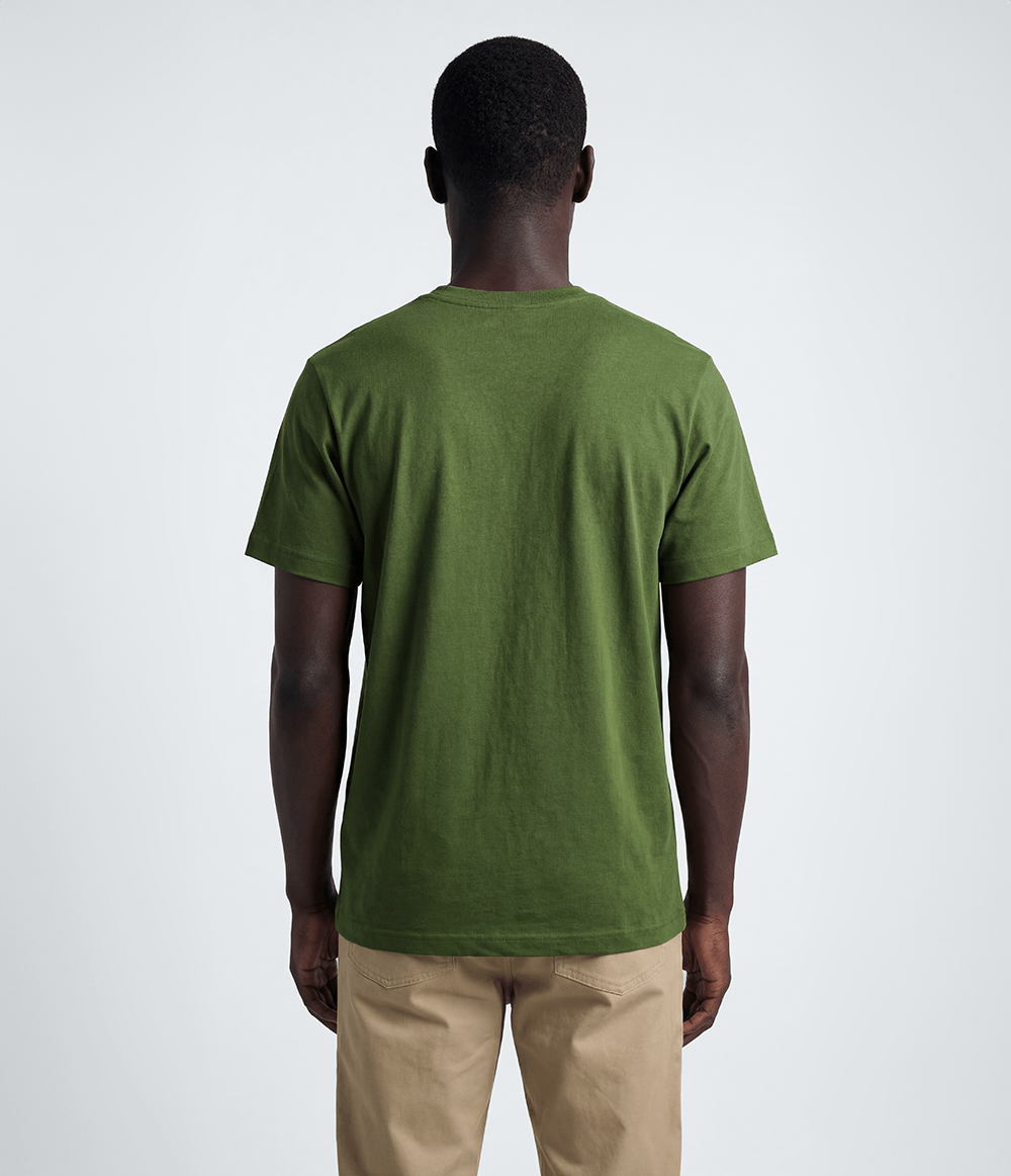 camiseta-the-north-face-unissex-evolution-tee-woodland-green-m