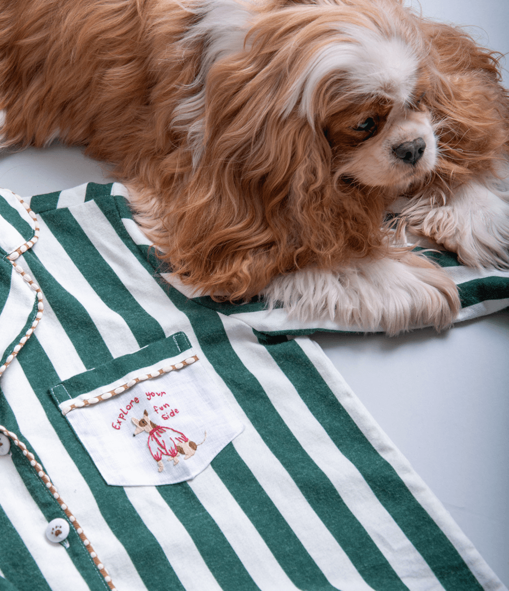 camisa-ps-61-feminina-de-pijama-listrado-verde-galgo-p