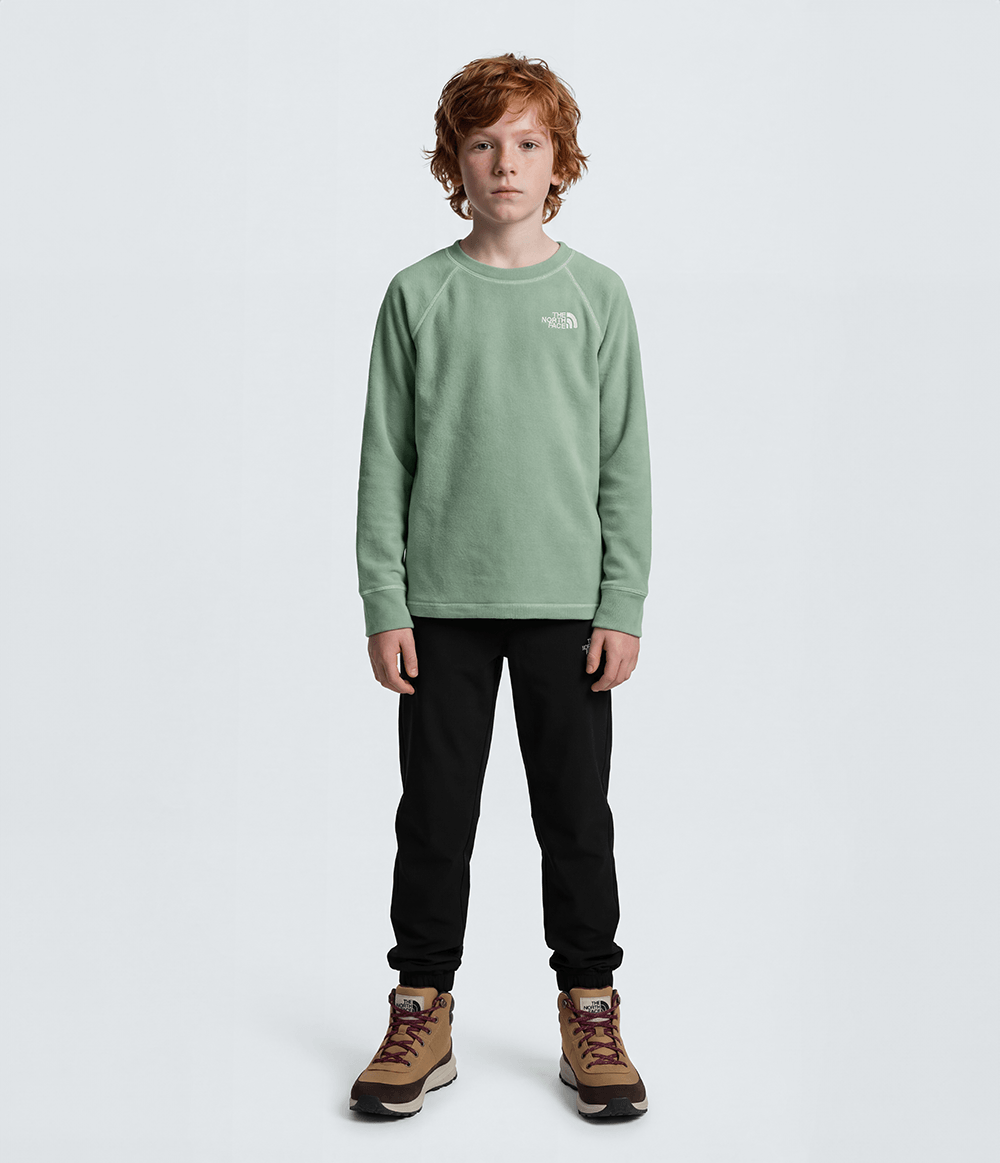 fleece-the-north-face-infantil-teen-glacier-crew-slate-moss-ppp