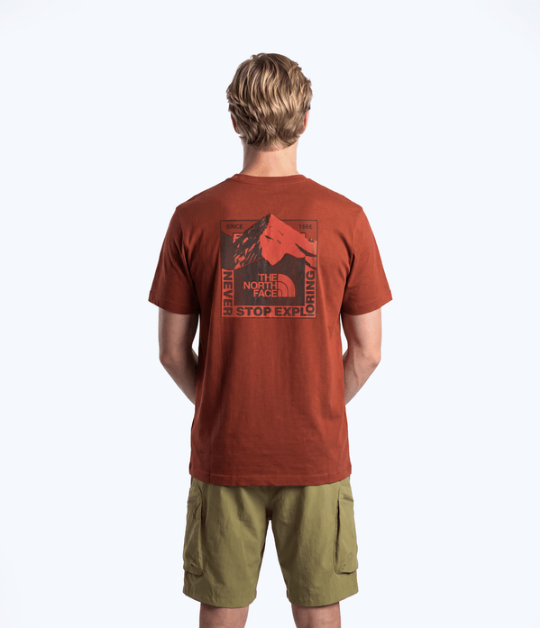 camiseta-the-north-face-unissex-mountain-scape-regular-tee-iron-clay-pp